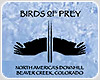 Beaver Creek (USA)