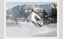       skiwelt    skiwelt 